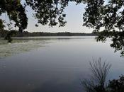 Découverte paisible étang Lévrys Sologne