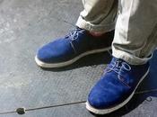 Pointer 2012 willard