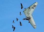Christian Moullec L’homme vole avec oiseaux