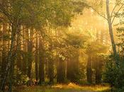 Photos incroyables routes