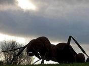 POiDS CHOSES. Guillaume Siaudeau