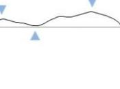 Ralentissement l’activité économique OCDE