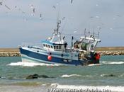 Alimentation vers certification européenne produits issus pêche