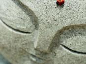 Photographes pour Japon