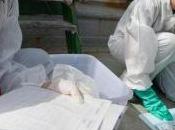 Fukushima Greenpeace garde Japonais contre produits