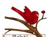 Petit ensemble velours côtelé