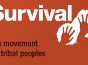 Survival International porte plainte pour allégations injurieuses