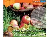 Fête Pomme Mazinghem octobre 2011