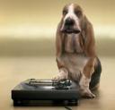 Tele2 campagne publicitaire chien