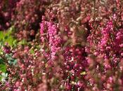 Fonds d'écran Novembre 2011