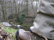 pointe progres pinnacle progress