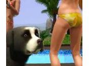 Sims Animaux