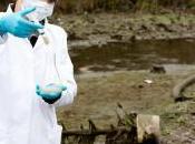 Nitrates gouvernement accélère réformes pour protéger l'eau