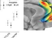 DÉPRESSION: gène joue aussi thérapie Human Brain Mapping