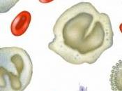 PRODUITS SANGUINS: protéines sang humain obtenues partir PNAS