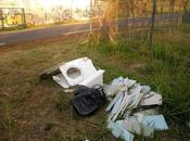 Réunionnais, bande cochons