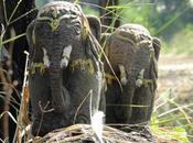Thaïlande: Khon Kaen, centaine d'éléphants l'autoroute [HD]