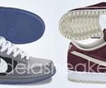 Nike Dunk 2012