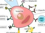 CANCER: médicaments activés lumière autour tumeur Nature Medicine