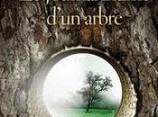 Journal Intime d’un arbre, Didier Cauweleart
