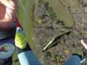 G-Form iPad entier après chute mètres