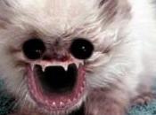 Traces d’iode dans l’air retombées idiot-actives l’opinion française