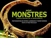 Mini-monstres, biodiversité l'extrême