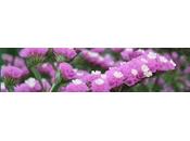 suite d'une question Statices, suis ap...