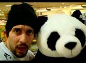 Hippocampe Couche Tard