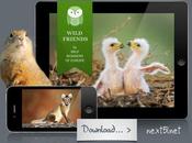animaux sauvages comme vous avez jamais votre iPhone iPad...