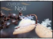 cadeau pour vous... Noël 2011