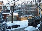 Jolies photos après premières "vraies" neige Montréal...