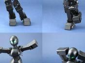 Orihime Robot robot prend quelques poses sexy