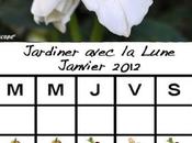 Jardiner avec Lune mois Janvier 2012