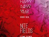 Happy Year Nite Fields Split