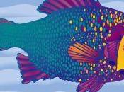 poisson change couleur