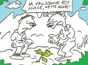 Croissance zéro pour zamal