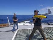 Shepherd s’équipe drones pour lutter contre baleiniers