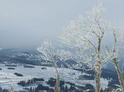 première découverte l'Auvergne