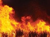 retour Sleigh Bells avec Comeback écoute