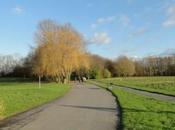 Promenade hivernale loossoise.