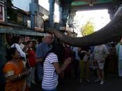 Entre souhaits bénédictions