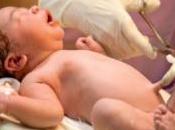 BISPHÉNOL dans sang cordon 100% nouveau-nés? Human Reproduction