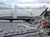 d'eau mardi janvier