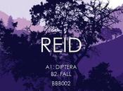 REID: Diptera Stream L’Irlandais REID l’on...