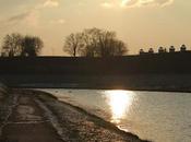 papattes dans l'eau froide