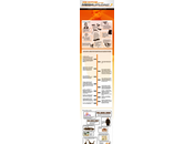 infographie Dotcom (MegaUpload)