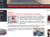 Mise ligne site Déménagement confort