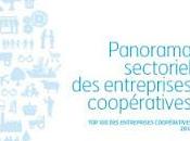 Coop présente panorama sectoriel entreprises coopératives troisième édition Top100