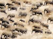 253ème sortie groupée